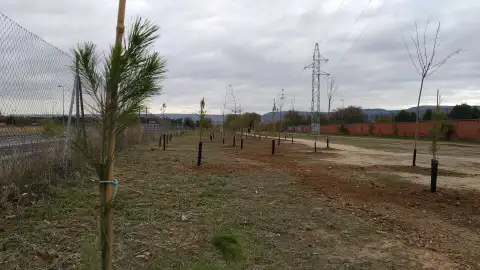 La plantación de 1000 árboles dota a Alcalá de Henares de un nuevo pulmón verde al sur de la A2 La plantación de 1000 árboles dota a Alcalá de Henares de un nuevo pulmón verde al sur de la A2