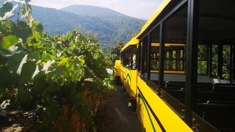 Gente Viajera de Galicia