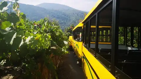 Tren turístico de Aba-Sacra na Ribeira Sacra Gente Viajera de Galicia