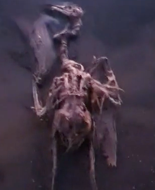 El juez imputa a la mercantil Cartagena Parque S.A. por la muerte de aves en las balsas de Zincsa El juez imputa a la mercantil Cartagena Parque S.A. por la muerte de aves en las balsas de Zincsa