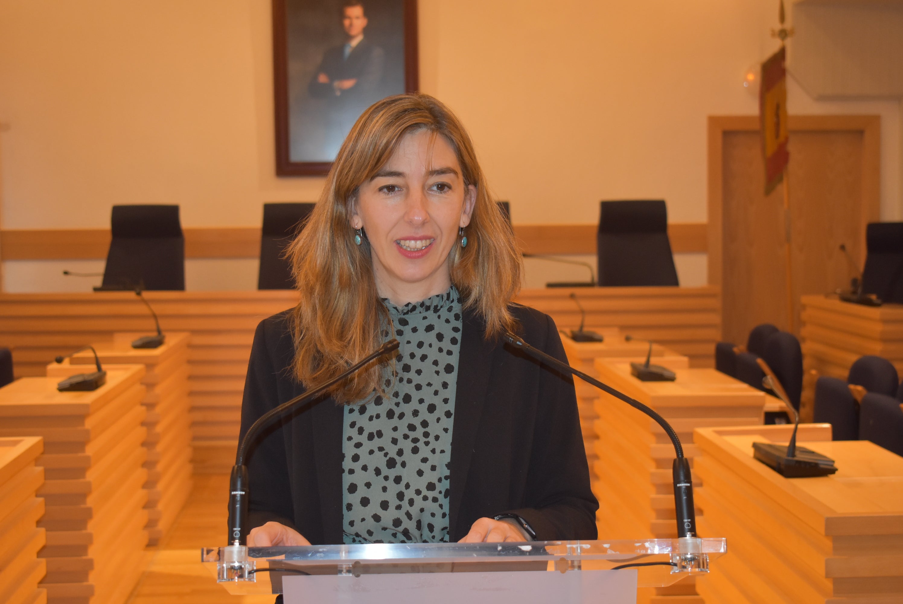Sancionados por circular con un vehículo que llevaba música a volumen muy elevado y por llevar suelto al perro en Ciudad Real Sancionados por circular con un vehículo que llevaba música a volumen muy elevado y por llevar suelto al perro en Ciudad Real