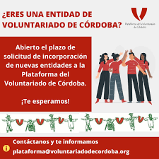 Día Internacional del Voluntariado Día Internacional del Voluntariado