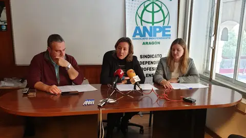 Los responsables de Anpe han presentado los datos Los responsables de Anpe han presentado los datos