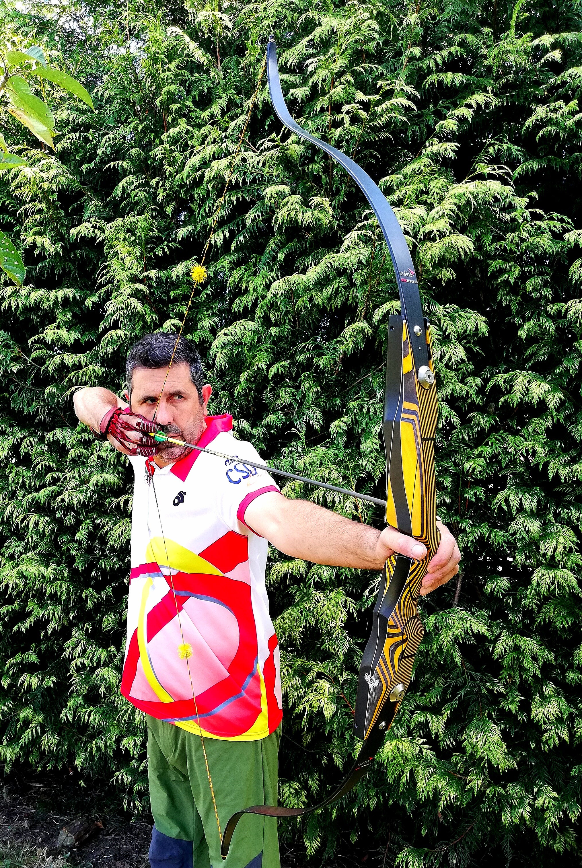 Tiro con arco en Bosque 3D Tiro con arco en Bosque 3D