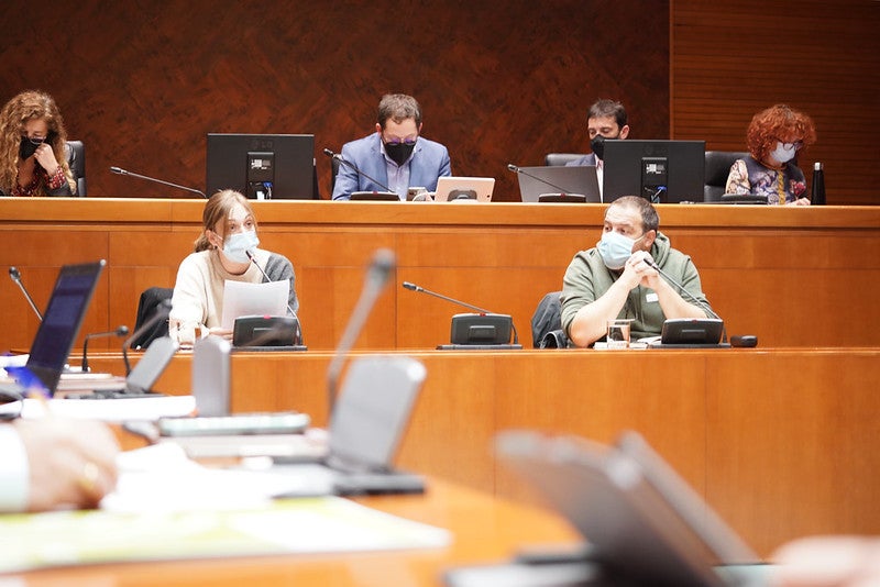 La plantilla de IDL reclama soluciones para los 200 despidos La plantilla de IDL reclama soluciones para los 200 despidos