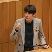 Pontón: “O AVE é a crónica dunha discriminación con Galiza”