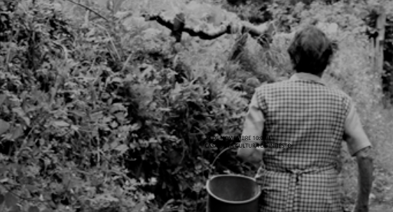 Infiesto acoge este miércoles una Jornada sobre la Violencia de Género en mujeres mayores Infiesto acoge este miércoles una Jornada sobre la Violencia de Género en mujeres mayores