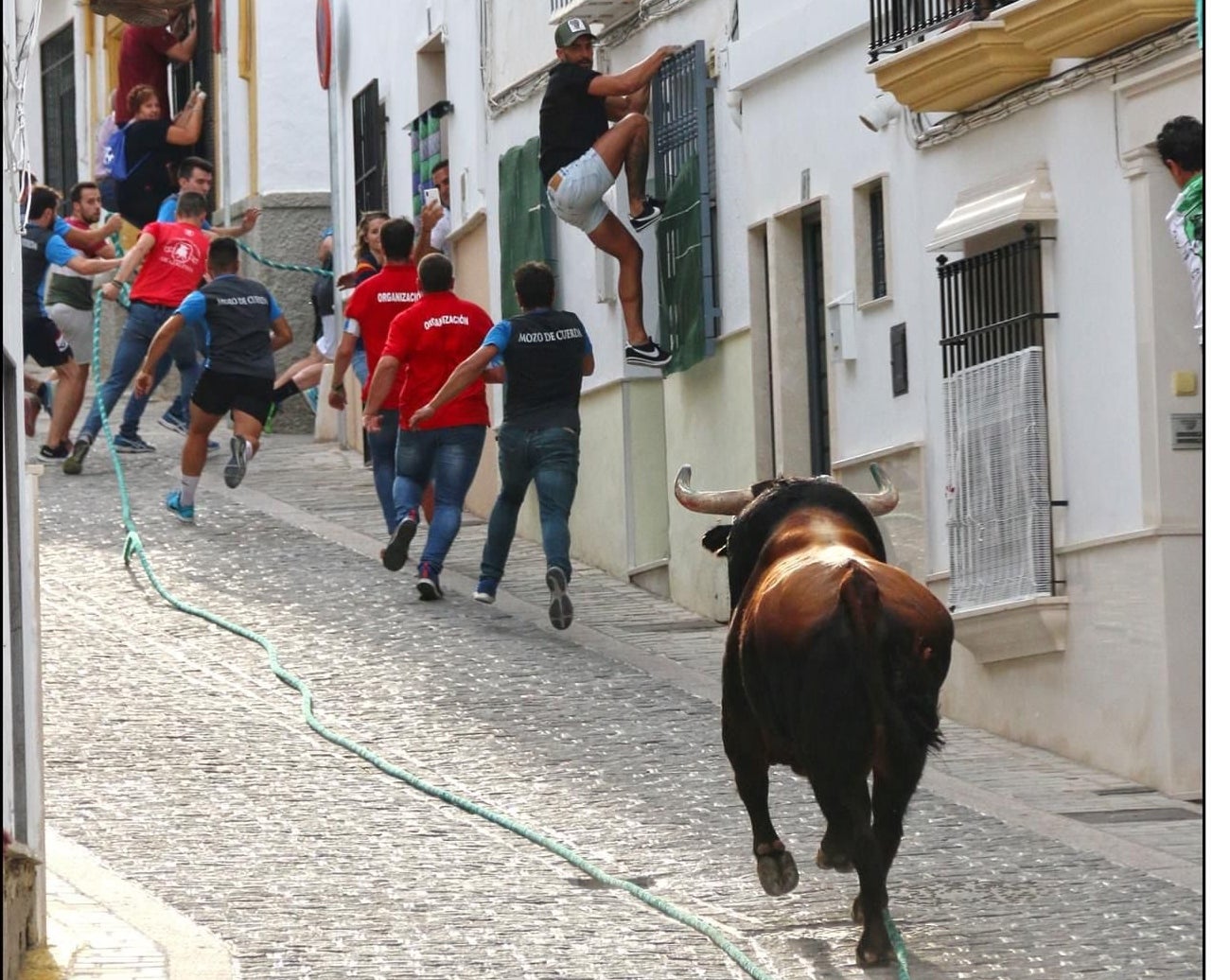 Toro de cuerda en Carcabuey Toro de cuerda en Carcabuey