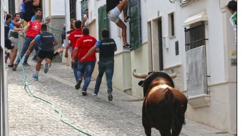 toro de cuerda