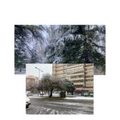 Nieve esta mañana en Palencia