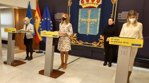 El Gobierno del Principado aprueba un proyecto de m&aacute;s de 5.300 millones 