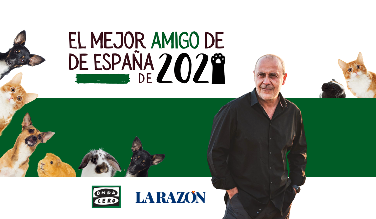 Estos son los 12 finalistas del concurso 'El mejor amigo de España 2021': ¡Vota por tu vídeo favorito! Estos son los 12 finalistas del concurso 'El mejor amigo de España 2021': ¡Vota por tu vídeo favorito!