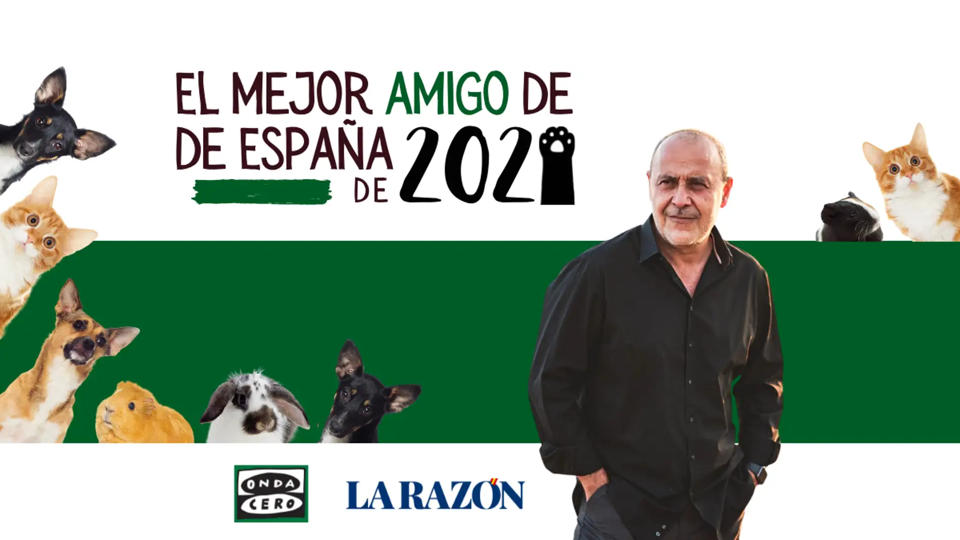 Concurso: El mejor amigo de España de 2021 Concurso: El mejor amigo de España de 2021