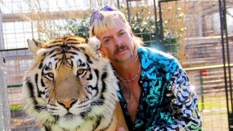 tiger king
