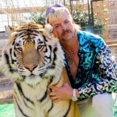 tiger king
