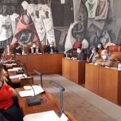 Pleno de la Discapacidad que se ha celebrado en la Diputación de Ciudad Real