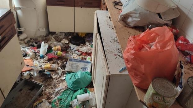Retiran a una pareja sus cuatro hijos menores por tenerlos en "desprotección" y en condiciones de insalubridad Retiran a una pareja sus cuatro hijos menores por tenerlos en "desprotección" y en condiciones de insalubridad