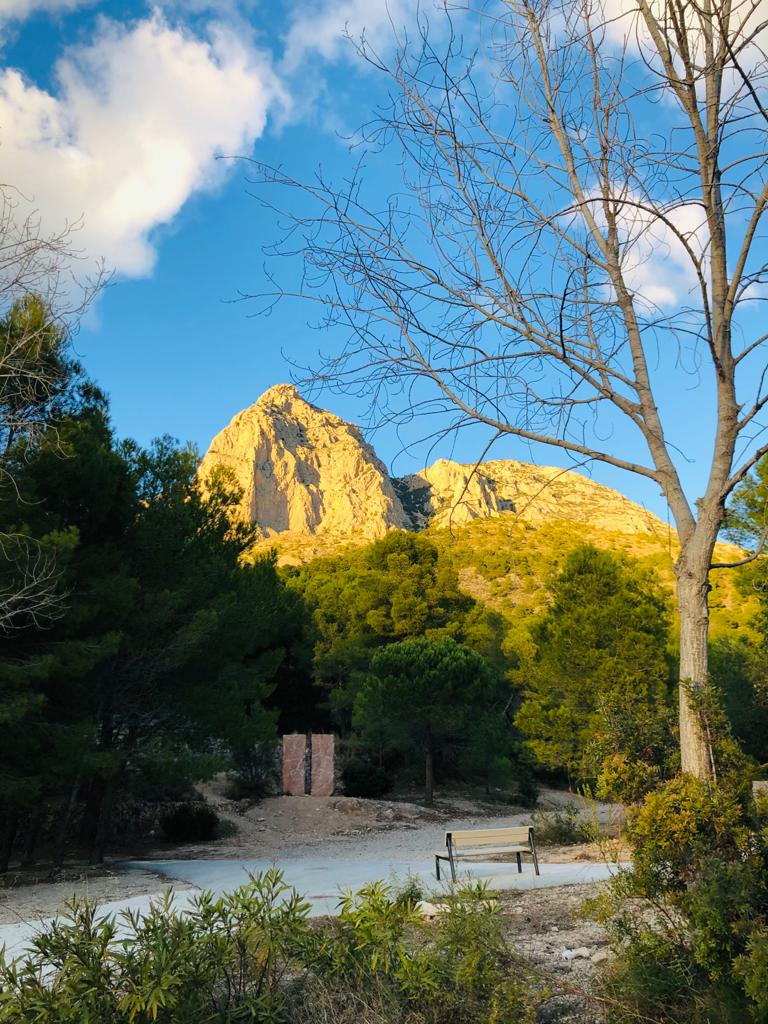 Predominio de cielos soleados todo el fin de semana con aumento de temperaturas Predominio de cielos soleados todo el fin de semana con aumento de temperaturas