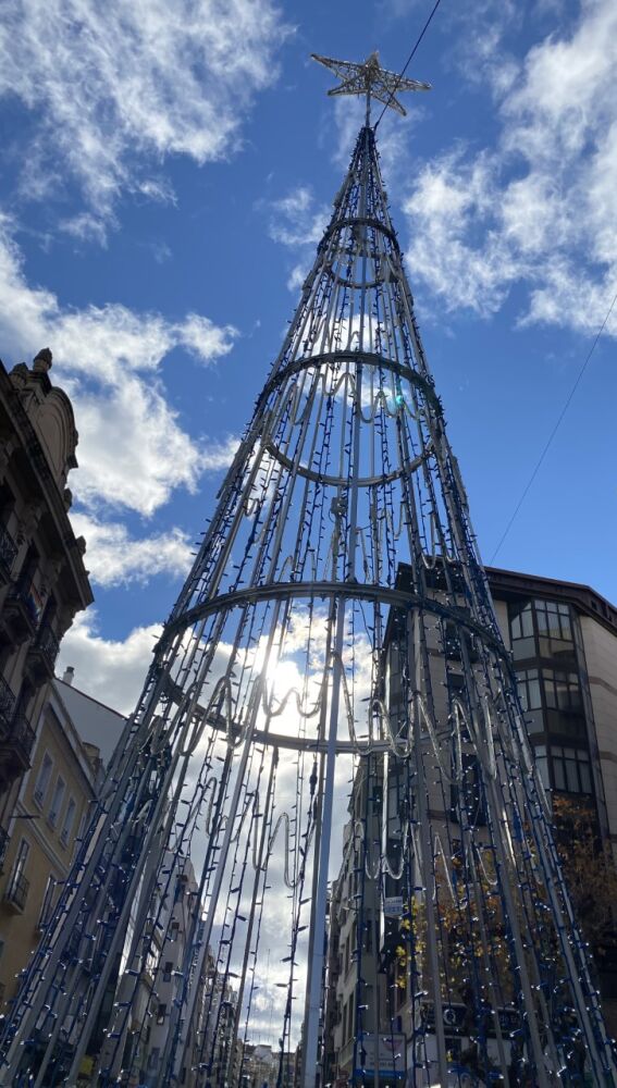 Árbol situado en la Plaza de la Constitución