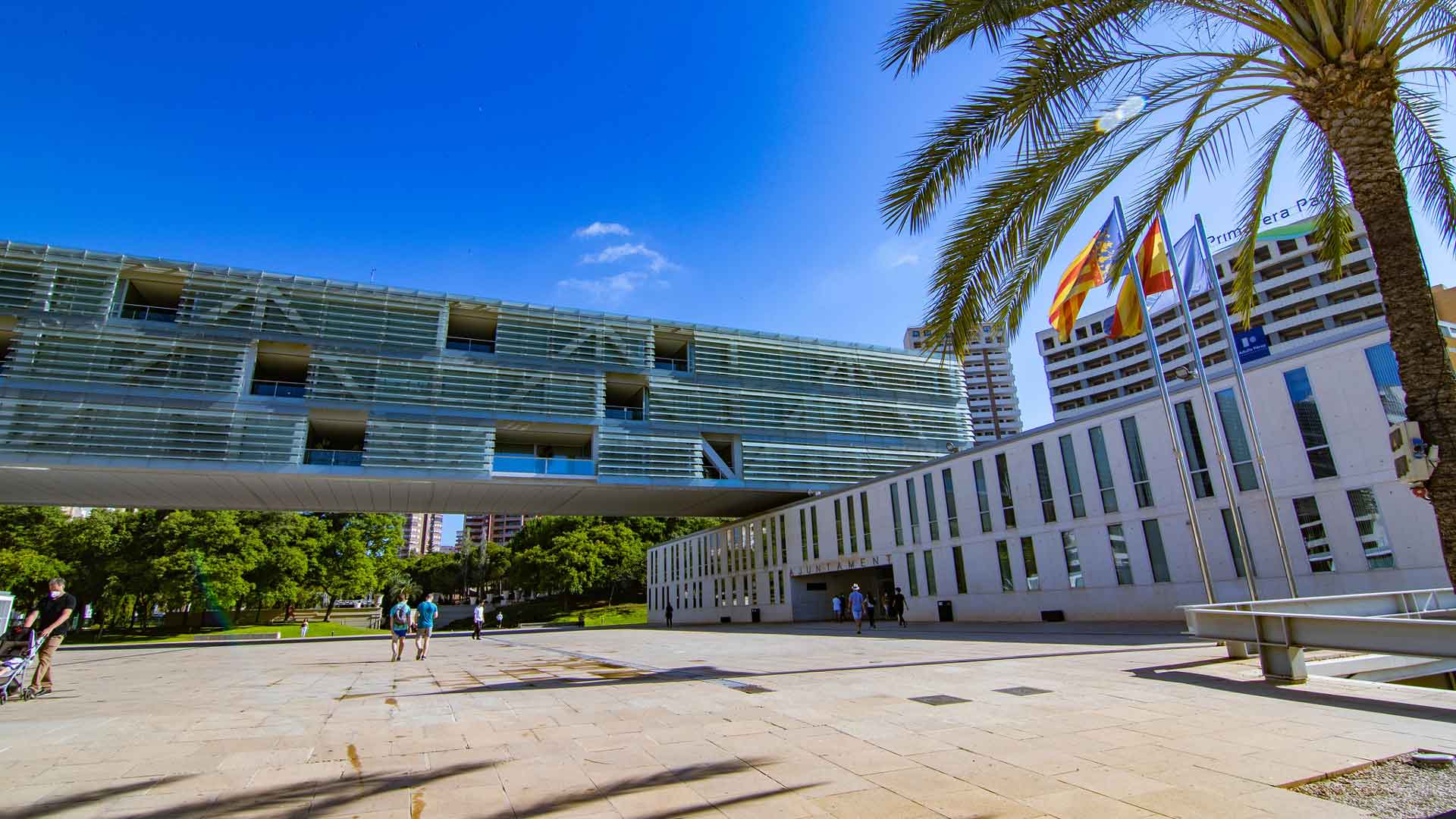 Condenan al Ayuntamiento de Benidorm a contratar a una “falsa autónoma” desde 2013 Condenan al Ayuntamiento de Benidorm a contratar a una “falsa autónoma” desde 2013