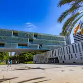 Ayuntamiento de Benidorm Ayuntamiento de Benidorm
