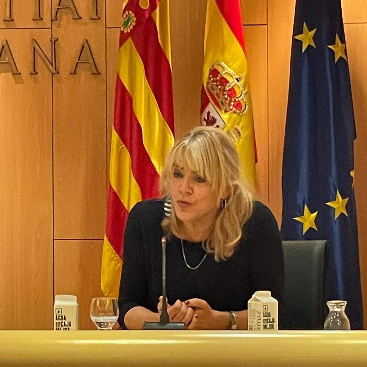 Jeannette Segarra: "No es lo mismo cerrar un cajero en Alicante que en un municipio pequeño" Jeannette Segarra: "No es lo mismo cerrar un cajero en Alicante que en un municipio pequeño"