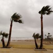 Se esperan rachas muy fuertes de viento en el interior de Castellón