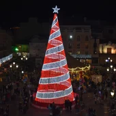 El gran árbol de Navidad de la Plaza Mayor El gran árbol de Navidad de la Plaza Mayor