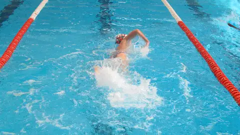 La Diputación de Alicante distribuye 450.000 euros entre 843 deportistas de la provincia deportes