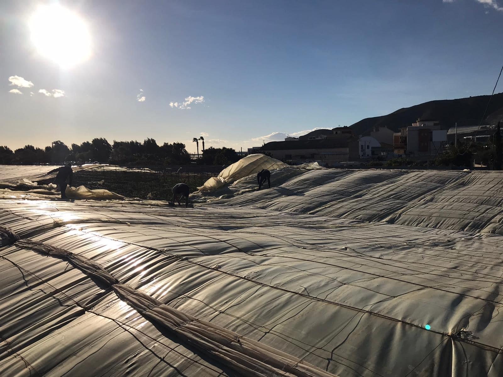 Concepción Abarca: " Mi total apoyo a los agricultores que siempre son los que sufren con estos temporales ". Concepción Abarca: " Mi total apoyo a los agricultores que siempre son los que sufren con estos temporales ".