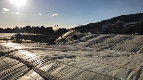 INVERNADEROS CARCHUNA INVERNADEROS CARCHUNA