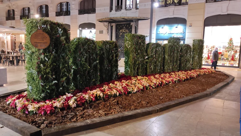 Decoración en la Plaza de la Puerta del Mar Decoración en la Plaza de la Puerta del Mar