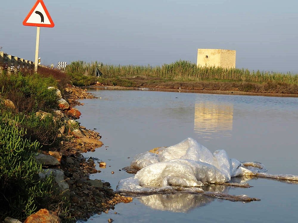 AHSA y Talaiola reclaman a Transición Ecológica la redacción del plan de integración paisajística de la N-332 a su paso por las Salinas de Santa Pola AHSA y Talaiola reclaman a Transición Ecológica la redacción del plan de integración paisajística de la N-332 a su paso por las Salinas de Santa Pola