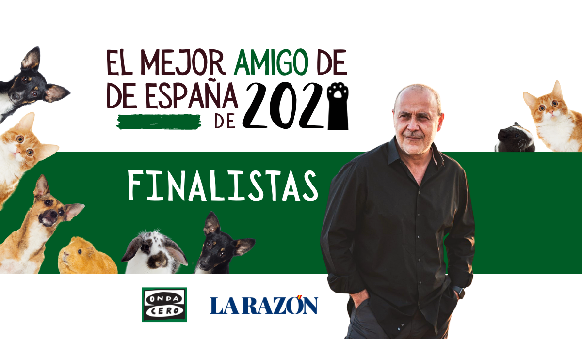 Whisper, París y Tirion, los tres primeros finalistas del concurso 'El mejor amigo de España 2021' Whisper, París y Tirion, los tres primeros finalistas del concurso 'El mejor amigo de España 2021'