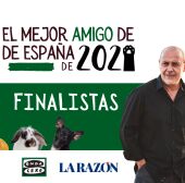 Finalistas del concurso 'El mejor amigo de España 2021'