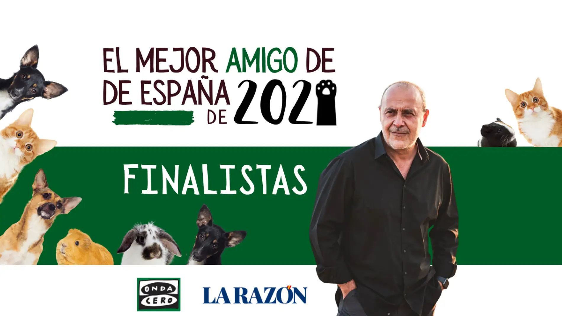 Finalistas del concurso 'El mejor amigo de España 2021'