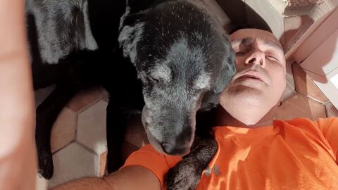 Iru, un 'abuelete' al que le gusta tomar el sol