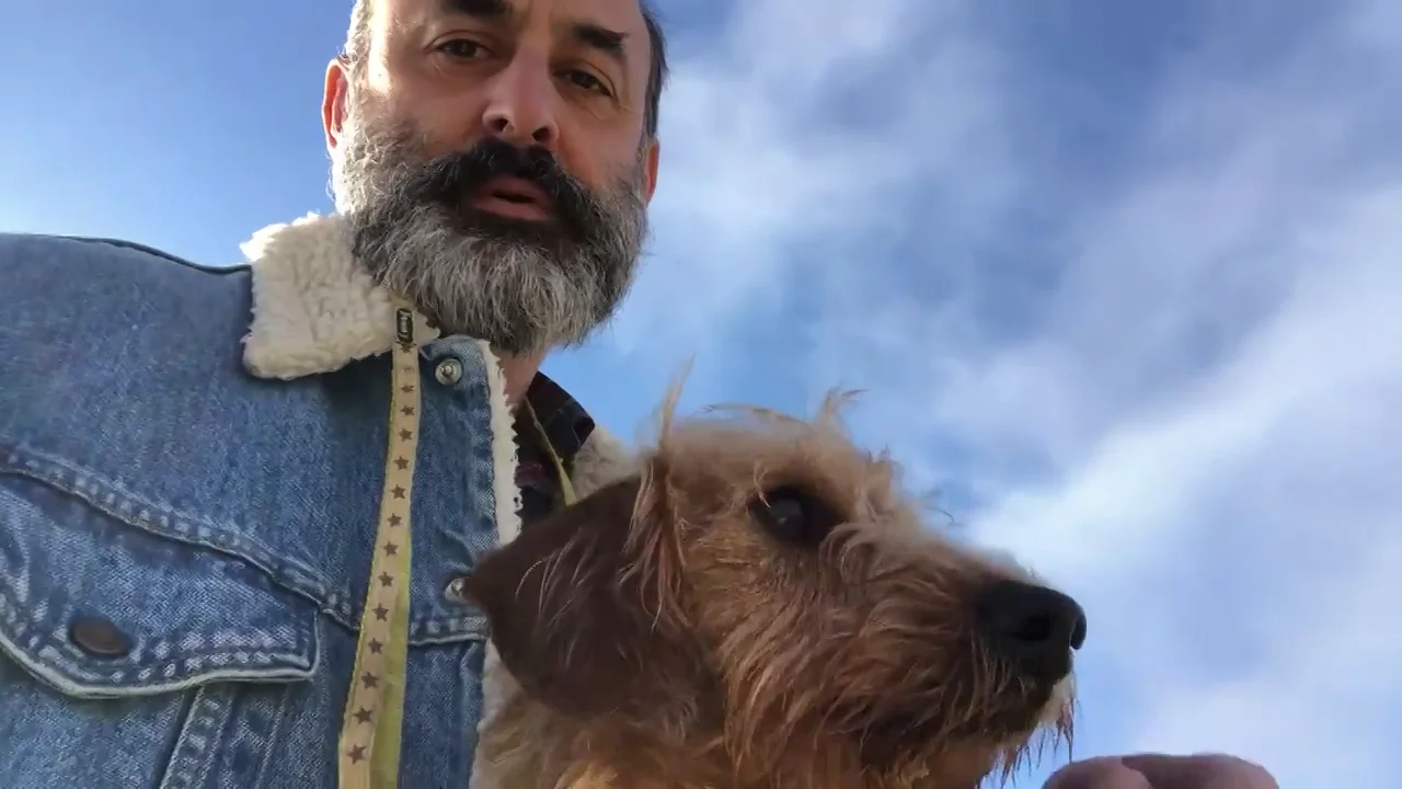 Cocó, un perro 'antiestrés'