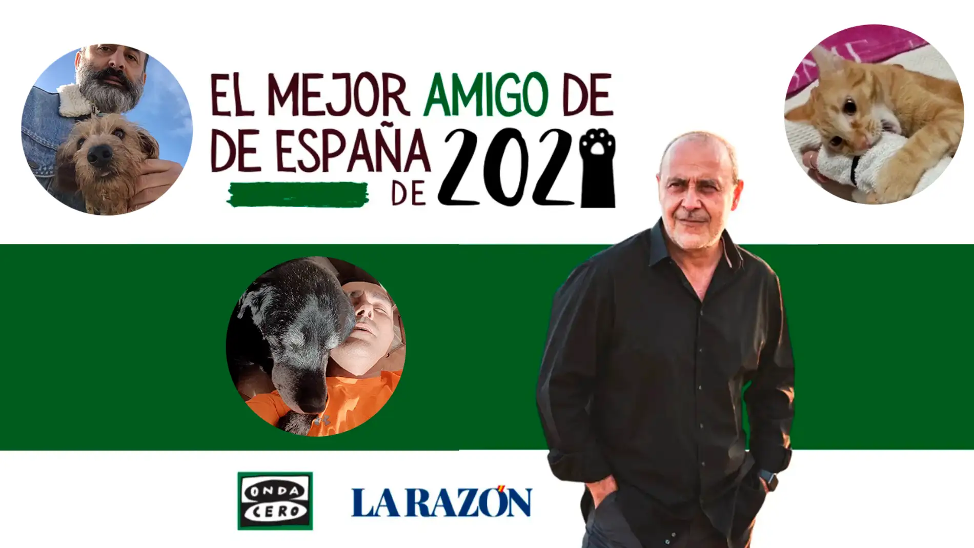Quino, Iru y Cocó, tres nuevos finalistas del concurso 'El mejor amigo de España 2021'