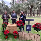 El Palmeral de Orihuela obtiene dos variedades de dátiles autóctonos consideradas como ‘excepcionales’ El Palmeral de Orihuela obtiene dos variedades de dátiles autóctonos consideradas como ‘excepcionales’