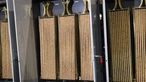 ¿Cuántas series tiene un número de lotería de Navidad? ¿Cuántas series tiene un número de lotería de Navidad?