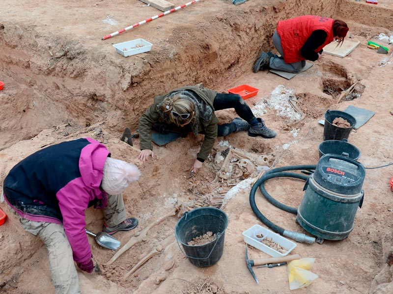 Análisis de ADN para identificar a los desaparecidos Análisis de ADN para identificar a los desaparecidos
