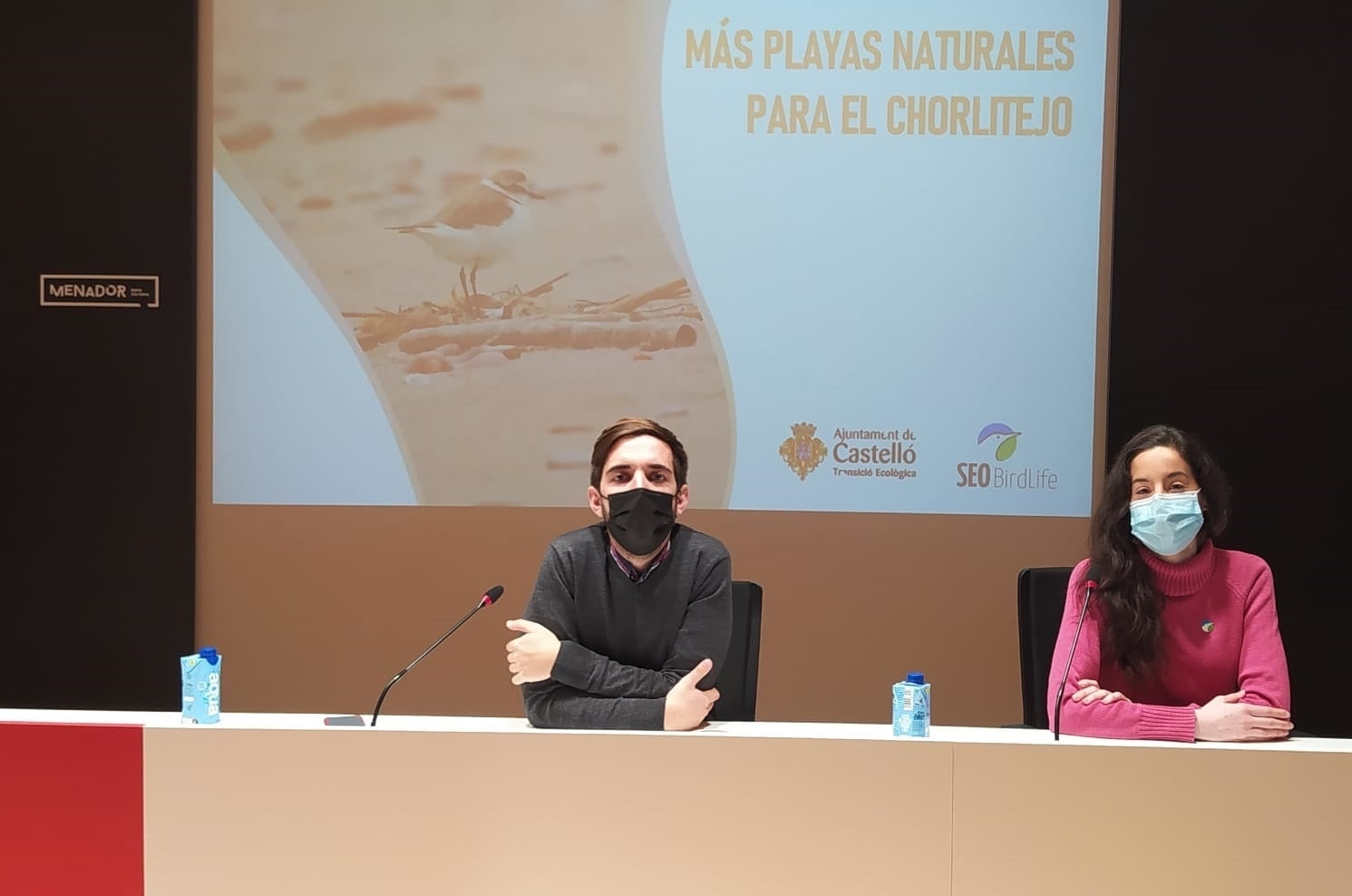 El chorlitejo es un "ave paraguas" para proteger las playas El chorlitejo es un "ave paraguas" para proteger las playas