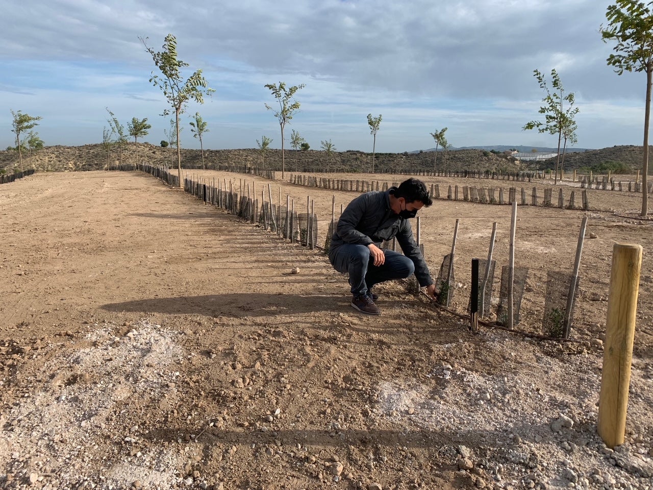 Acaba de finalizar una nueva actuación en lo que se conoce como “la antigua escombrera Acaba de finalizar una nueva actuación en lo que se conoce como “la antigua escombrera