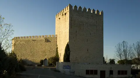 La Junta aprueba 225.000 euros para actuaciones en la Torre del Homenaje del Castillo de Monzón de Campos Patrimonio