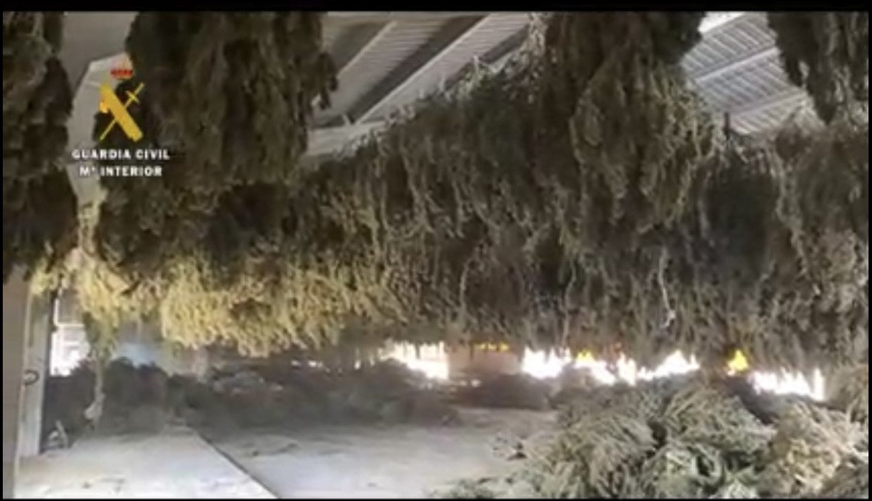 Incautan en Sabiñánigo 8 toneladas de marihuana Incautan en Sabiñánigo 8 toneladas de marihuana
