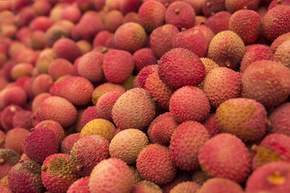 Agroseguro abona más de la mitad de los 16 millones de indemnizaciones a fruticultores extremeños Agroseguro abona más de la mitad de los 16 millones de indemnizaciones a fruticultores extremeños