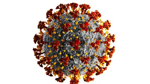 Aragón ya aplica el nuevo sistema de vigilancia del Covid Onda Cero Galicia