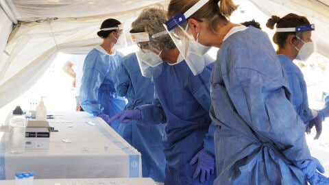 Personal sanitario analizando pruebas PCR. 