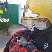 Los bomberos rescataron a dos pequeños gatos Los bomberos rescataron a dos pequeños gatos